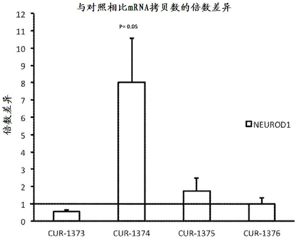 BOB综合体育APP下载